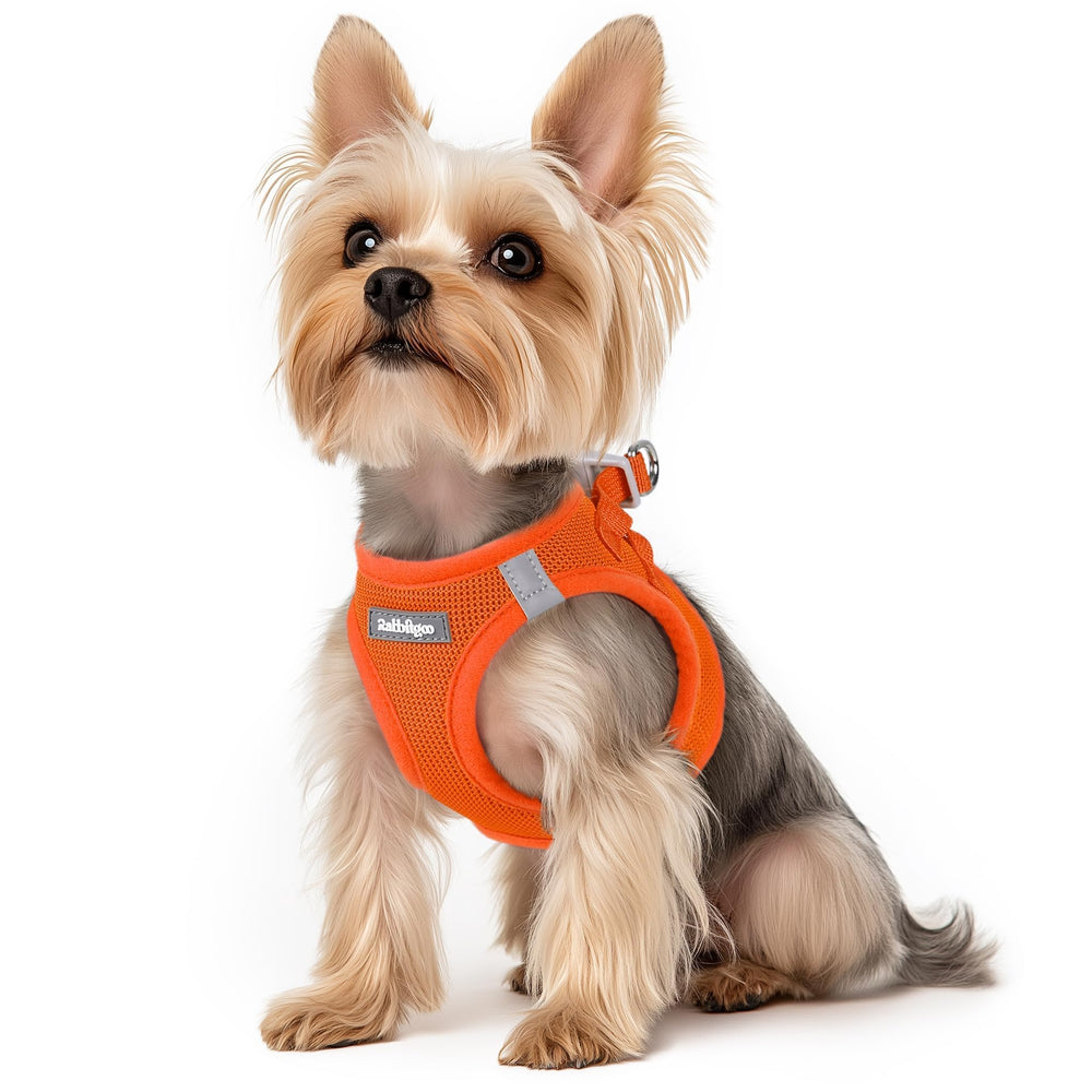 Rabbitgoo orange XS step-in mesh harness for quick, comfortable fits.