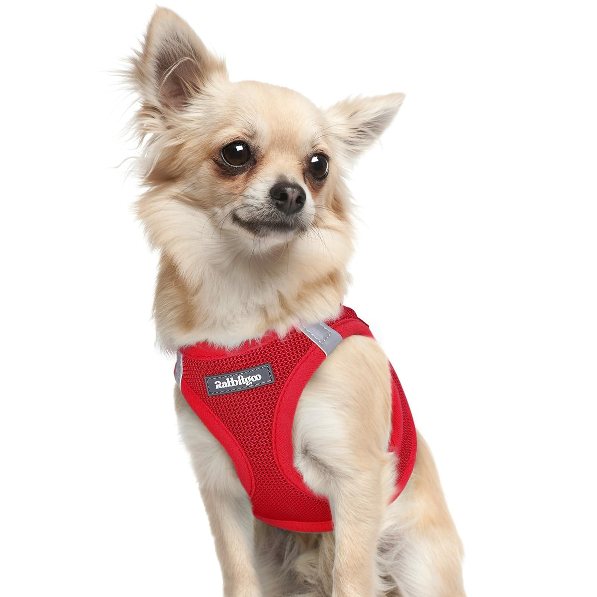 Rabbitgoo XXXS step-in mesh harness in red for quick, comfortable on/off during walks.