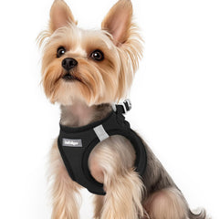 Rabbitgoo small dog harness step-in mesh design for quick, comfortable on-boarding.