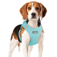 Rabbitgoo small dog harness step-in mesh for easy, cool daily outings