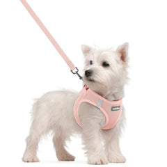 Rabbitgoo small dog harness step-in pink enables easy entry for daily walks