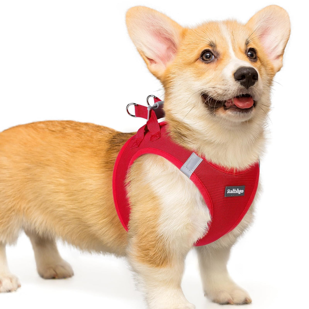 Rabbitgoo small dog harness step-in red L ready for quick, comfy walks.