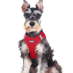 Rabbitgoo small dog harness front view in red XXL for secure step-in comfort.