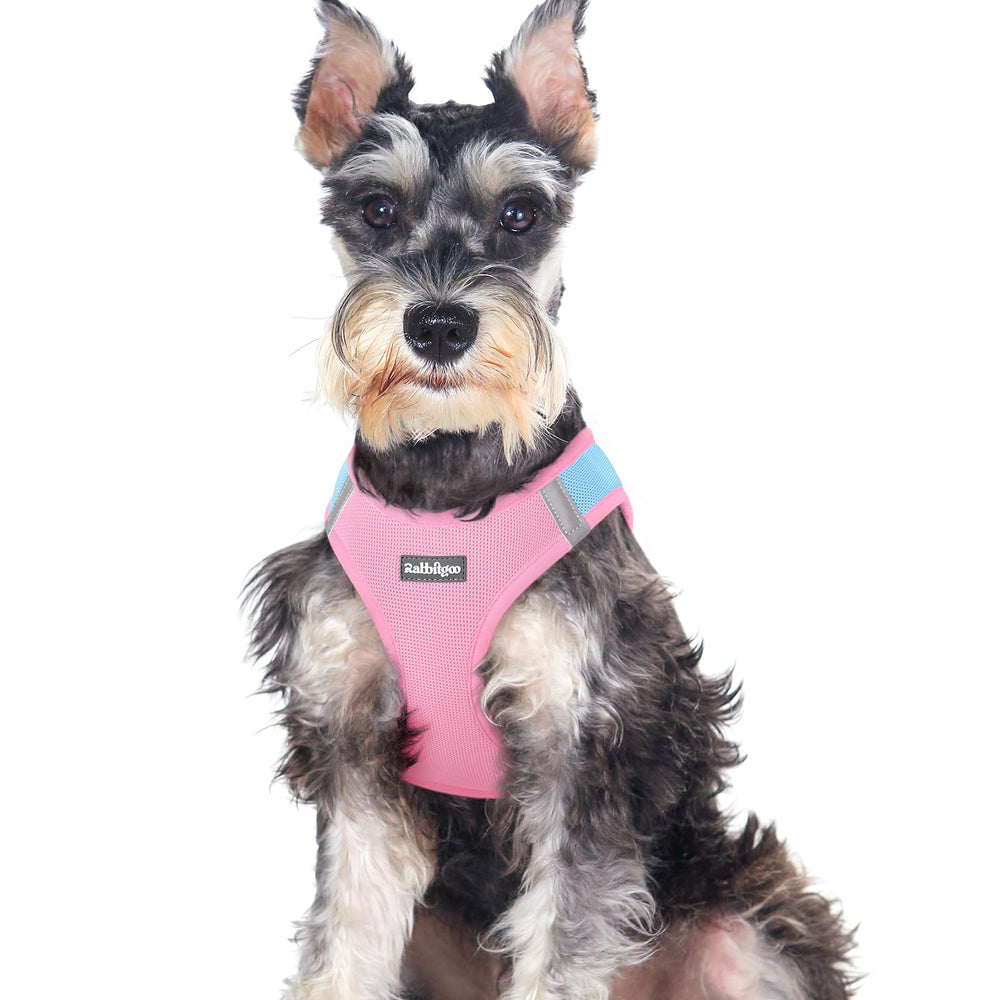 Rabbitgoo small dog harness step in soft mesh vest in blue improves comfort during walks