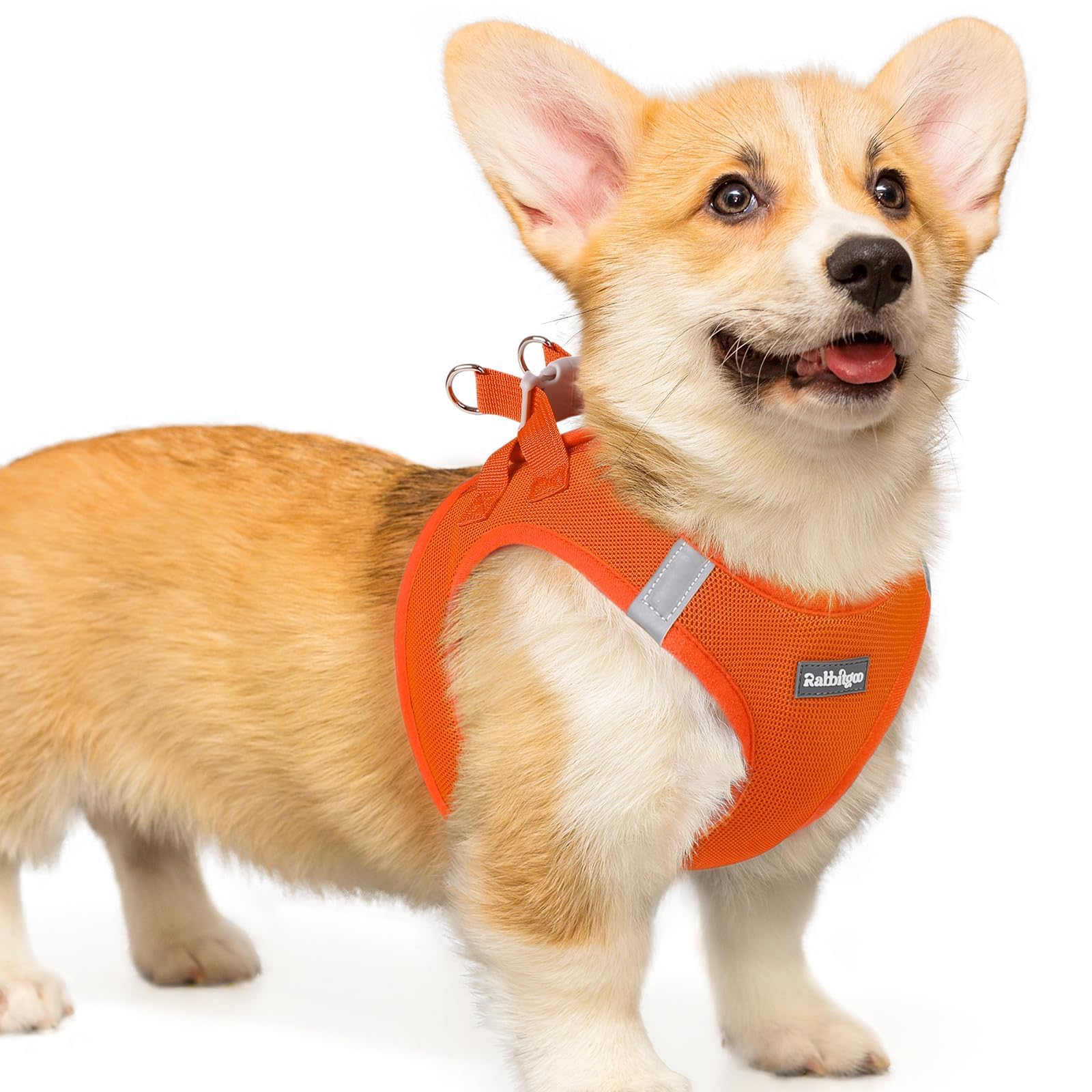 Rabbitgoo small dog harness step-in design for quick fitting