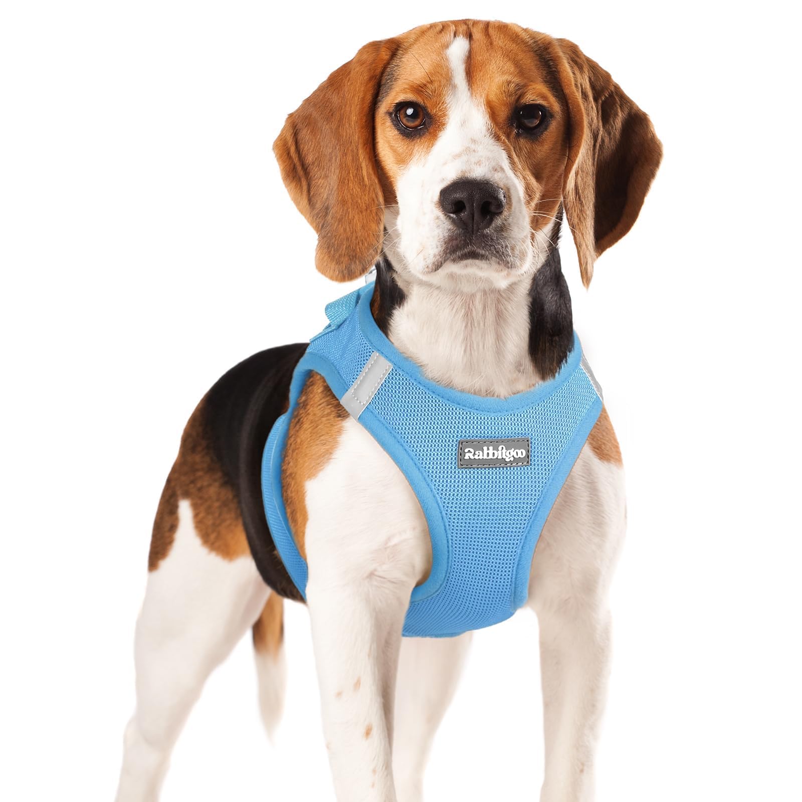 Rabbitgoo small dog harness step-in for quick, hassle-free wearing during outdoor walks.
