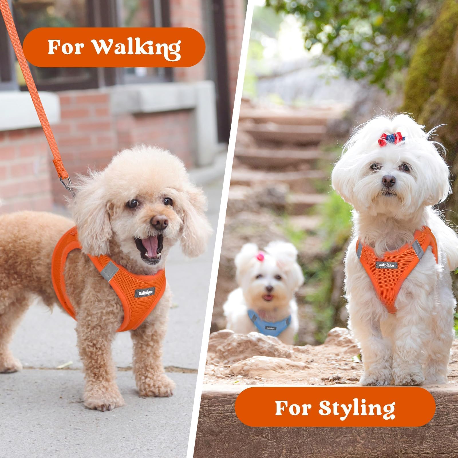 Rabbitgoo harness ready for travel and playdates with quick wear.