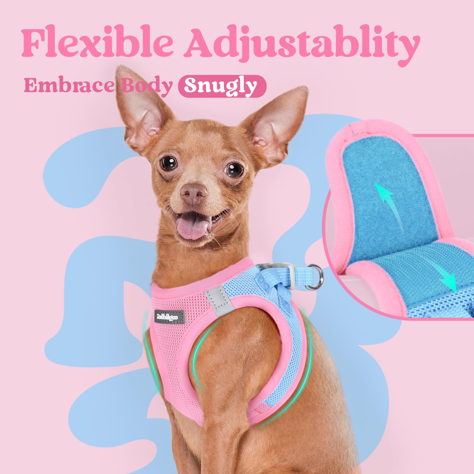 Rabbitgoo small dog harness travel-ready design supports versatile outings.
