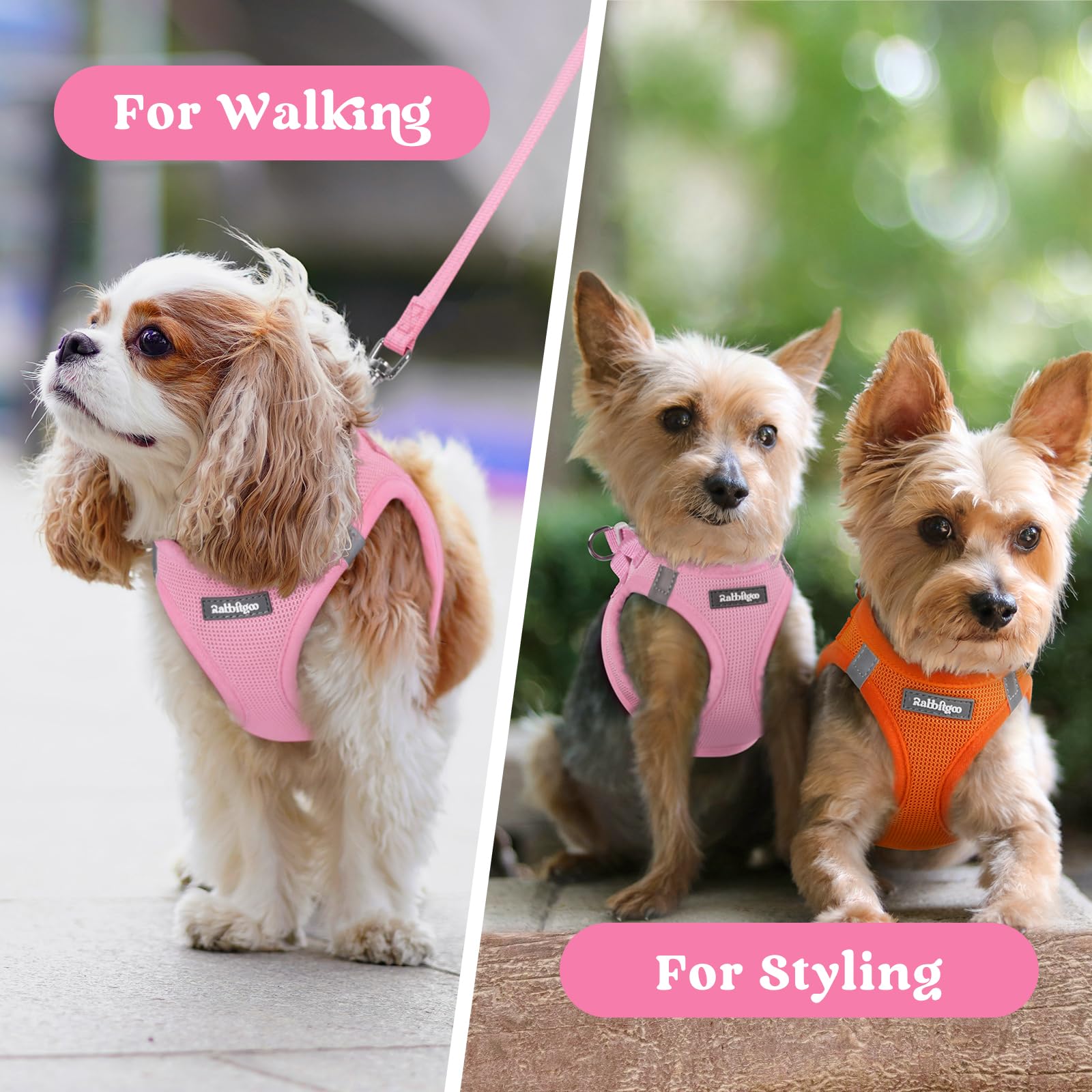 Rabbitgoo small dog harness is travel-ready for walks during trips and outings.