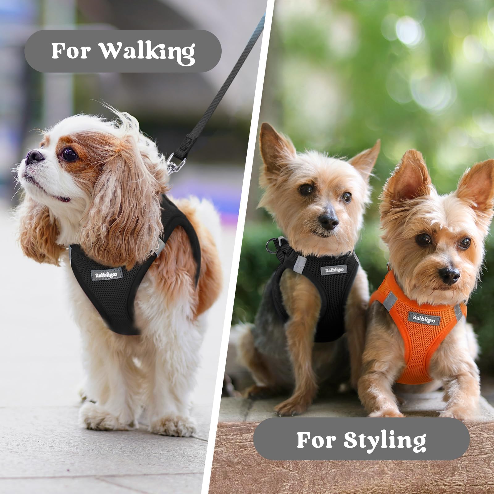 Rabbitgoo harness supports walks, travel, and playdates with lightweight comfort.