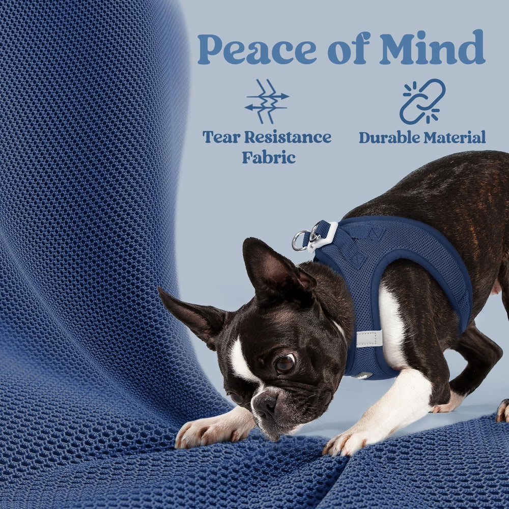 rabbitgoo small-dog harness ideal for travel, playdates, and casual walks