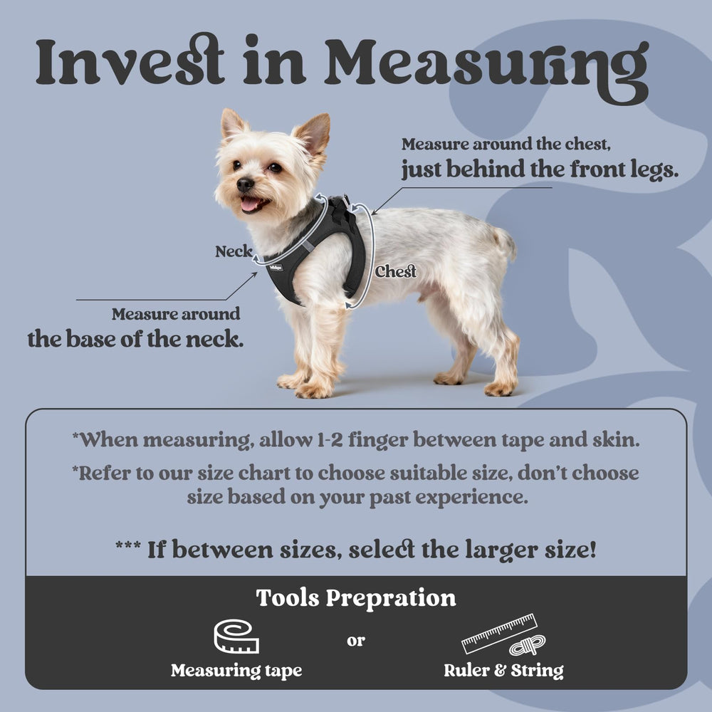 Rabbitgoo small dog harness XL breathable mesh fabric keeps tiny pups cool on strolls.