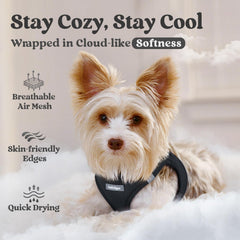 Rabbitgoo harness uses quick dry material for fast drying after play sessions.
