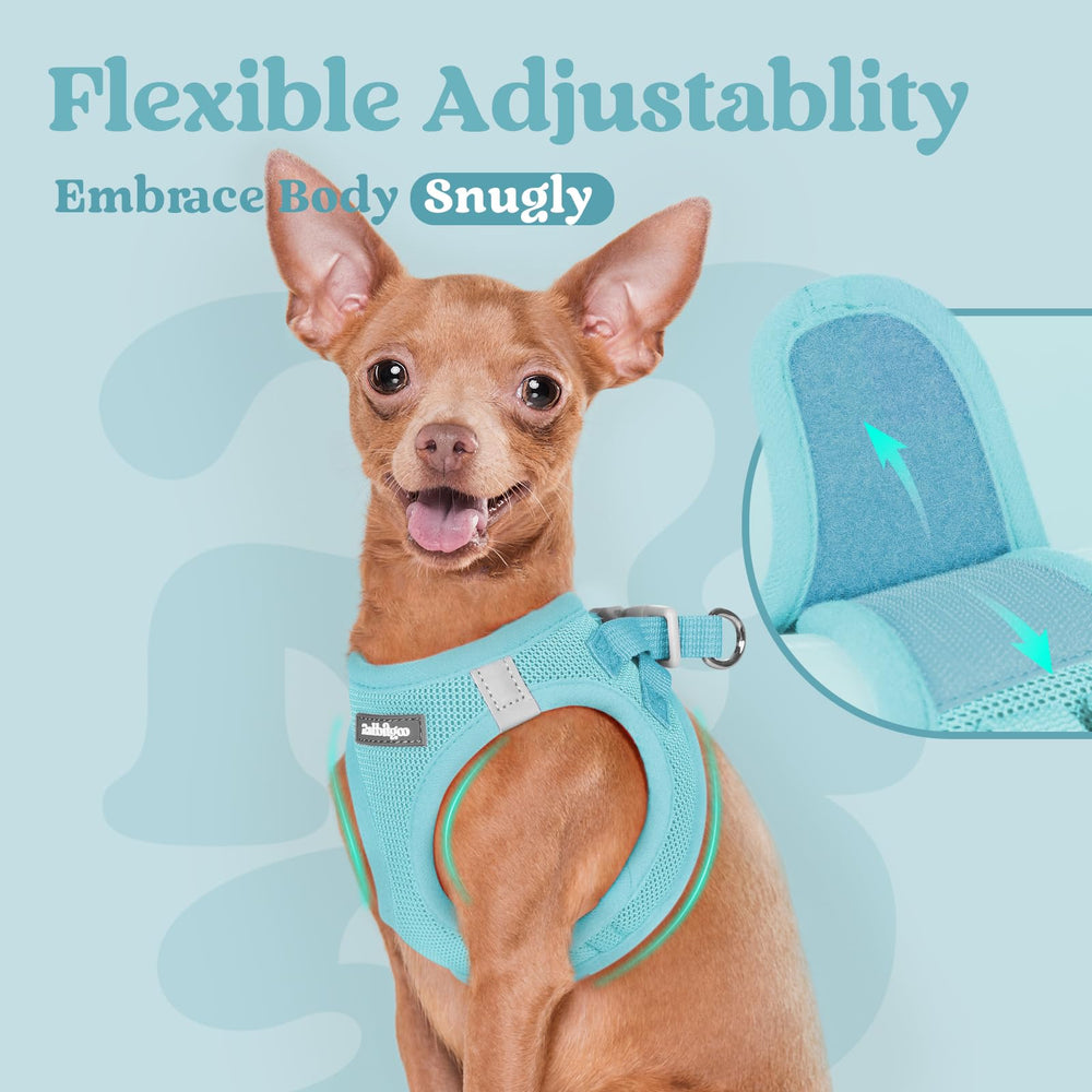 Rabbitgoo small dog harness XL size guidance for precise fit