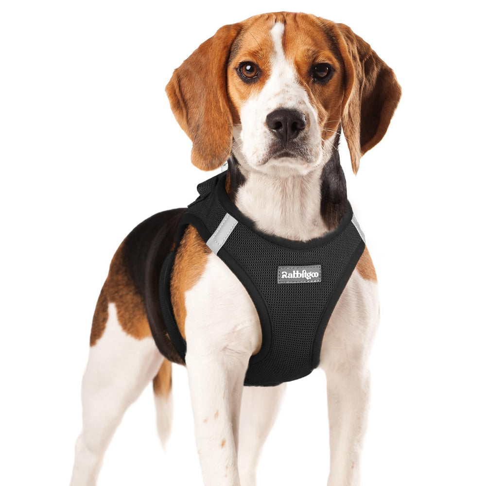 Rabbitgoo small dog harness XL step-in mesh for effortless on off during daily walks.