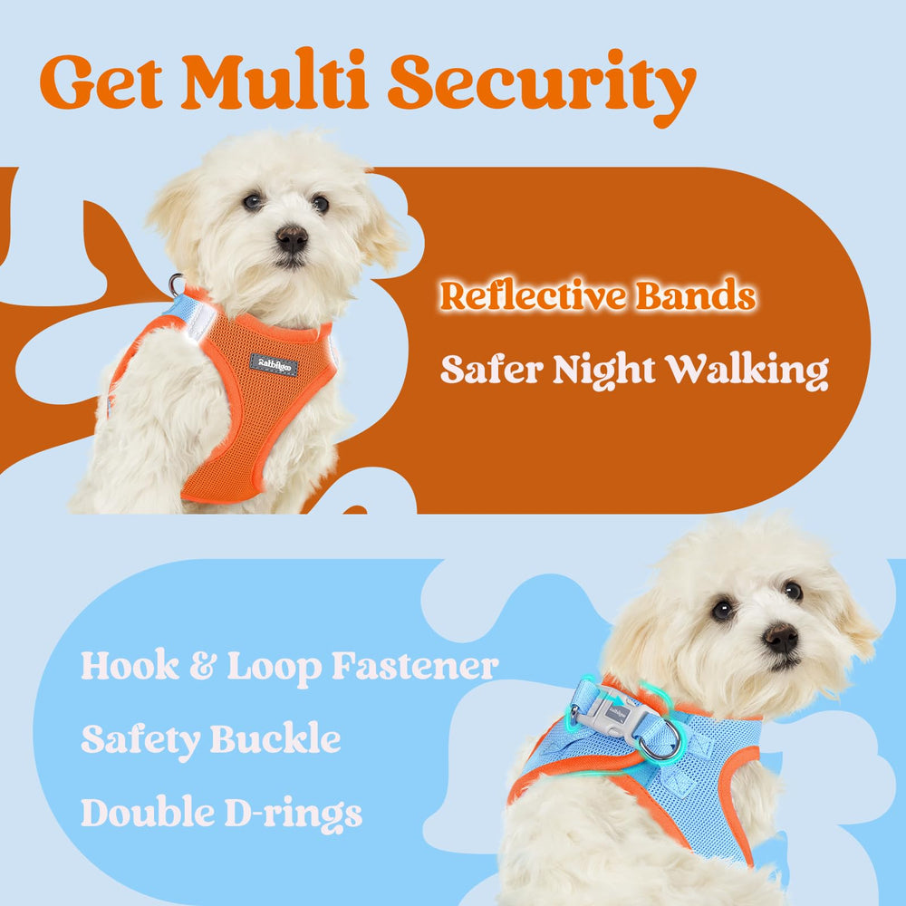 Rabbitgoo small dog harness XXL lightweight fit reduces burden during walks