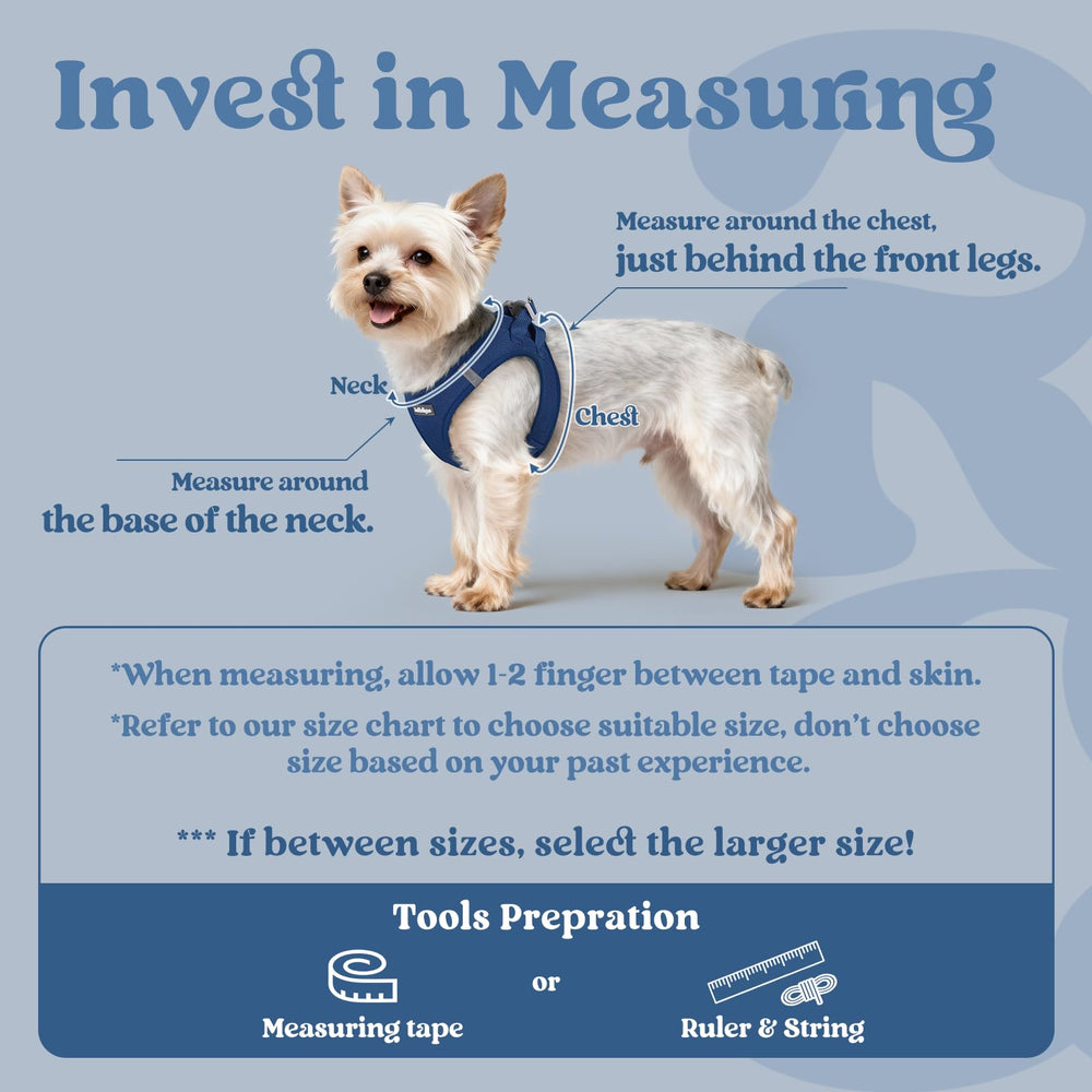 Rabbitgoo XXS harness with soft air mesh keeps tiny dogs cool on walks