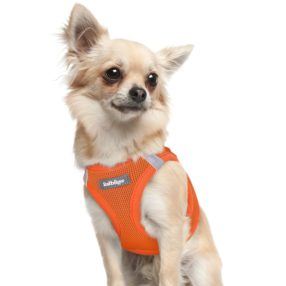 Rabbitgoo XXXS small dog harness front view showing compact fit for tiny dogs and daily walks.