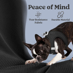 rabbitgoo XXXS safety buckle harness keeps pets secure during walks