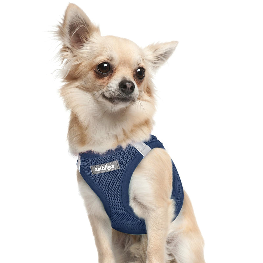Rabbitgoo XXXS small dog harness shows a quick step-in design for calm, speedy adventures.