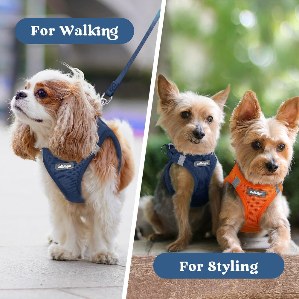 Rabbitgoo XXXS harness supports tiny dogs with secure daily-use design.