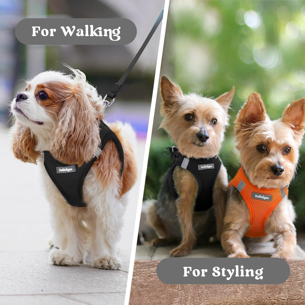 rabbitgoo XXXS small-dog harness ideal for travel park outings