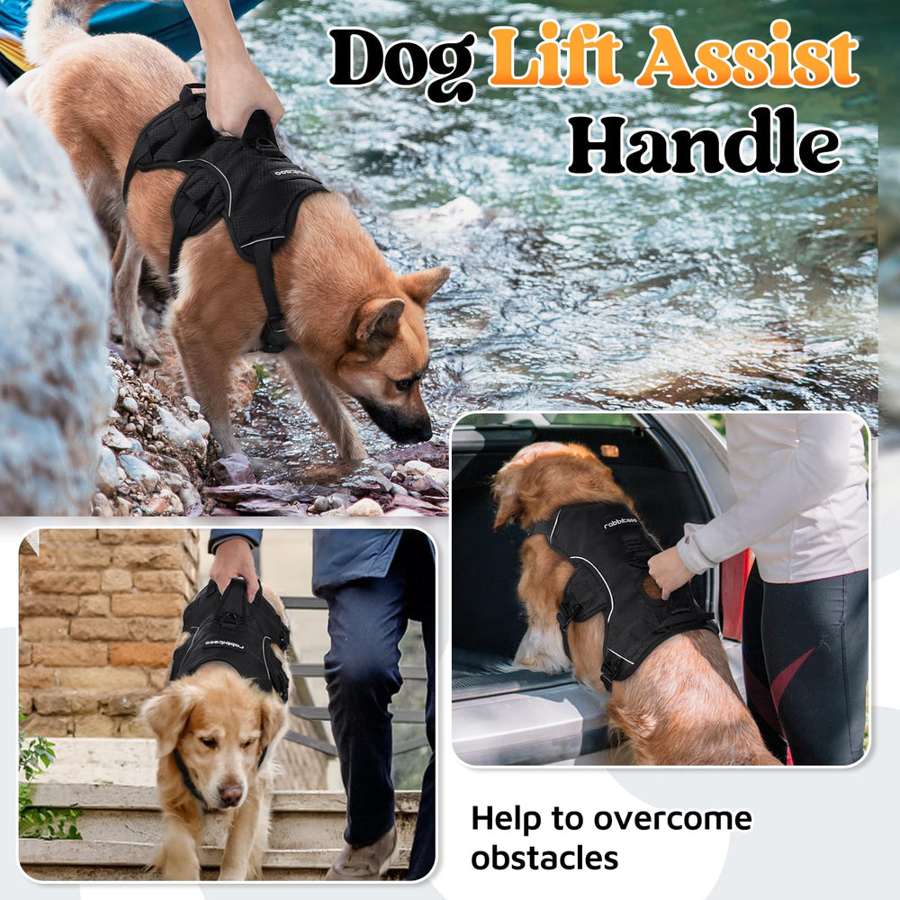 Rabbitgoo breathable air mesh padding keeps dogs comfortable on long walks.