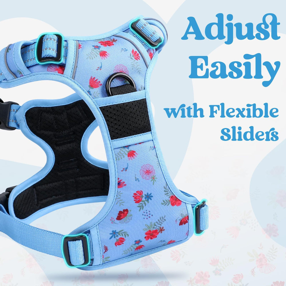 Rabbitgoo soft-padded vest harness provides cozy support and gentle control.