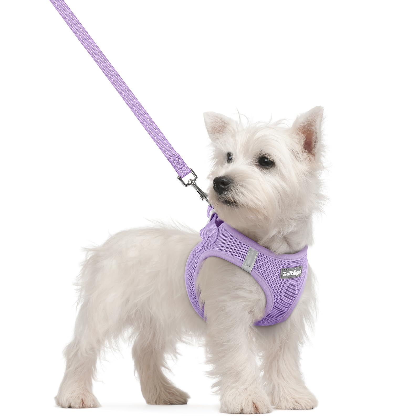 Rabbitgoo step-in harness small for easy on and off on walks