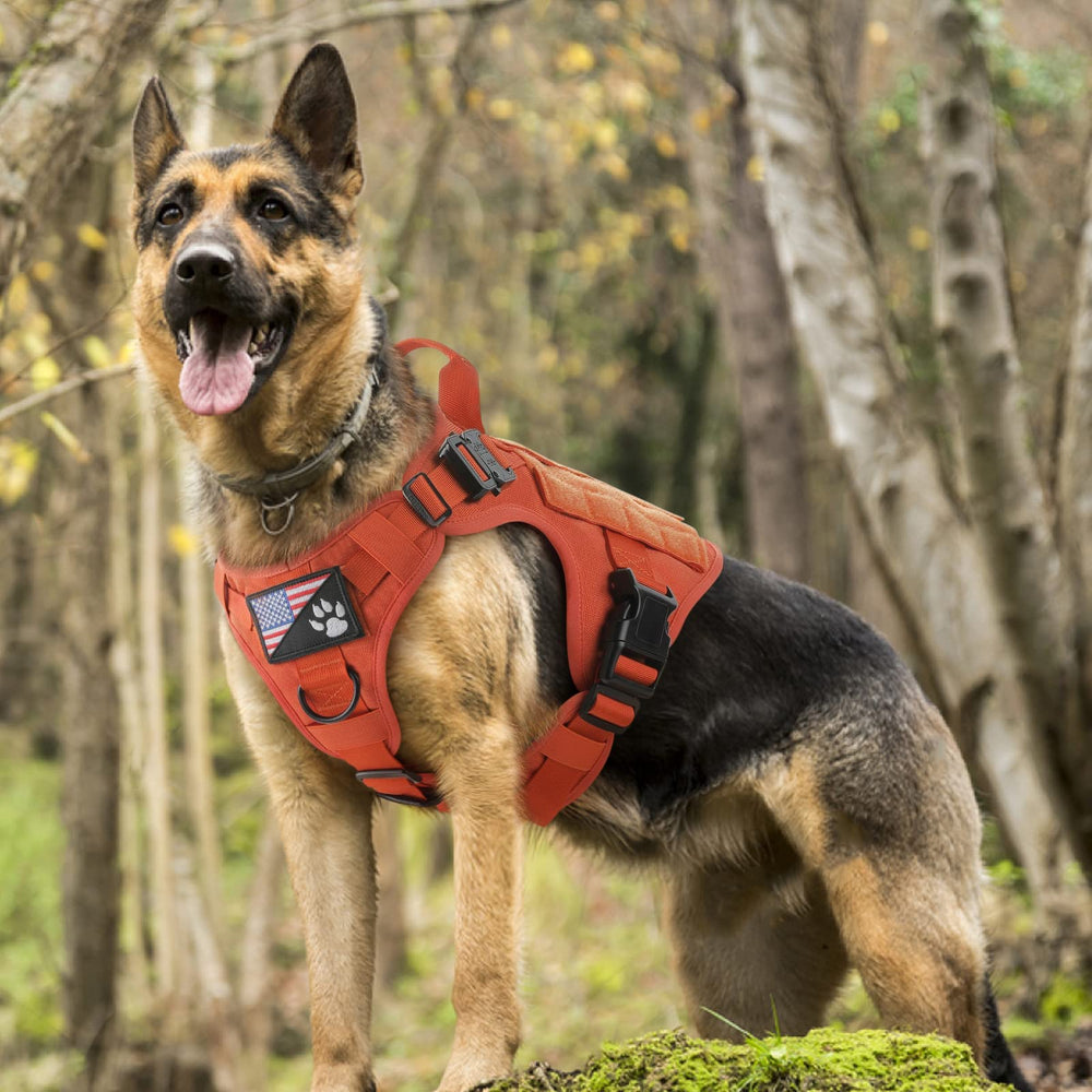 Rabbitgoo 1050D nylon harness durability supports rugged field use.