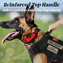 Rabbitgoo tactical dog harness 1050D nylon durability for rugged use.