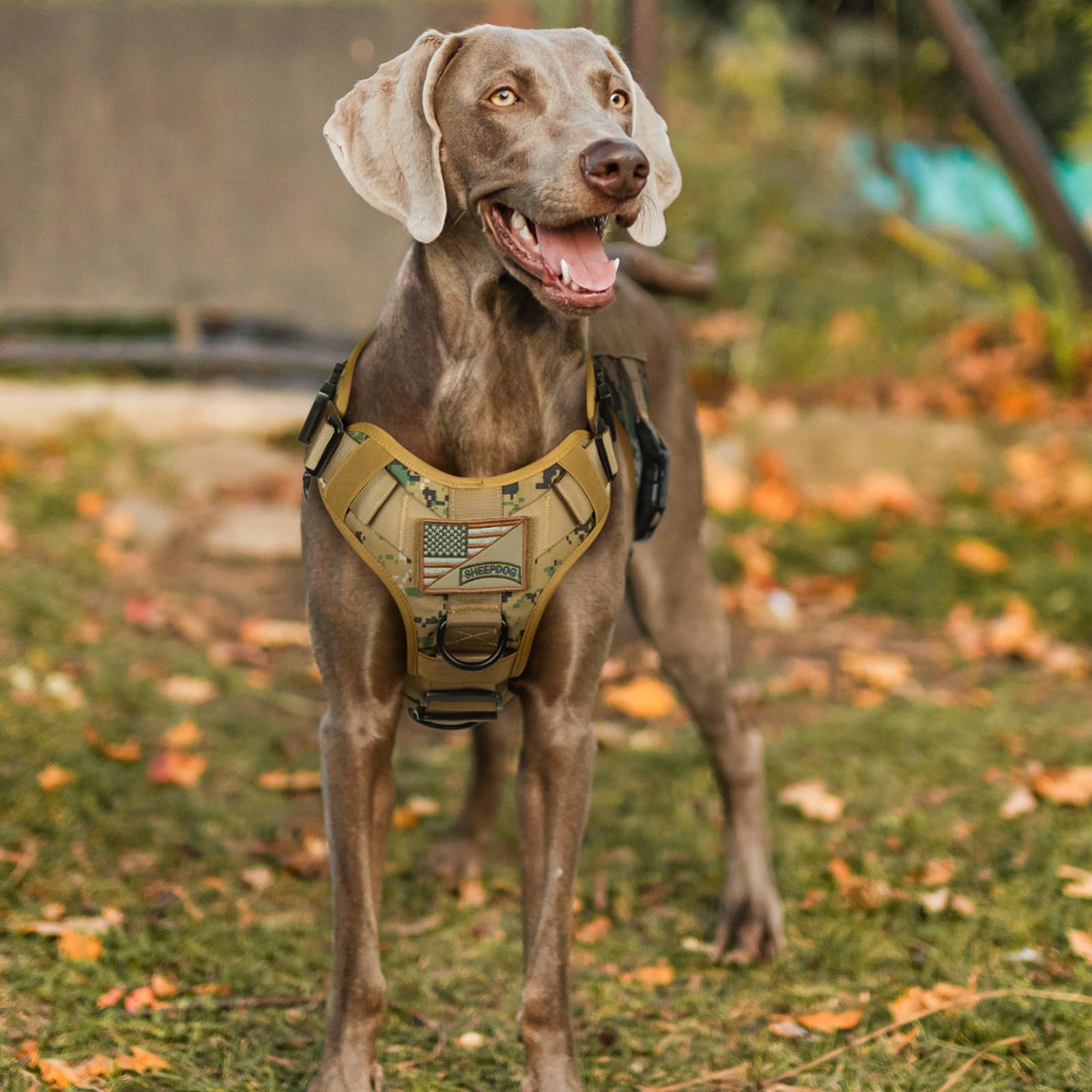 rabbitgoo tactical dog harness 1050D nylon construction withstands rugged outdoor use.