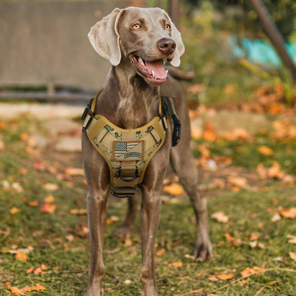 rabbitgoo tactical dog harness 1050D nylon construction withstands rugged outdoor use.