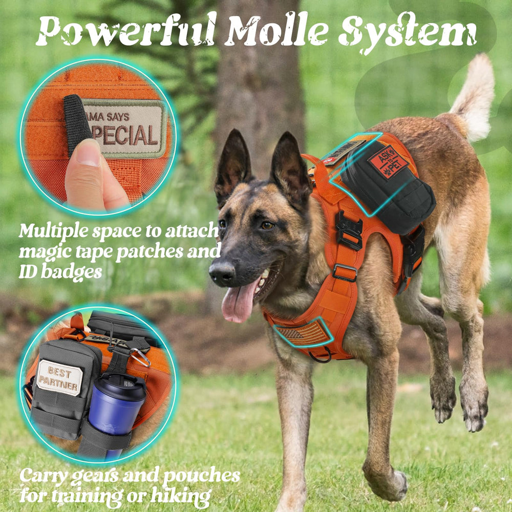 rabbitgoo tactical dog harness adjustable straps orange small for snug fit.