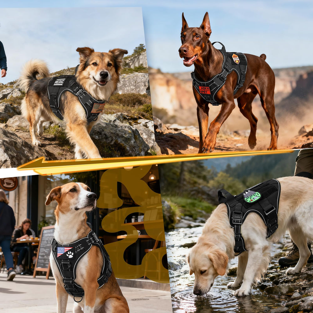 Rabbitgoo adjustable straps fit many breeds for daily wear and training.