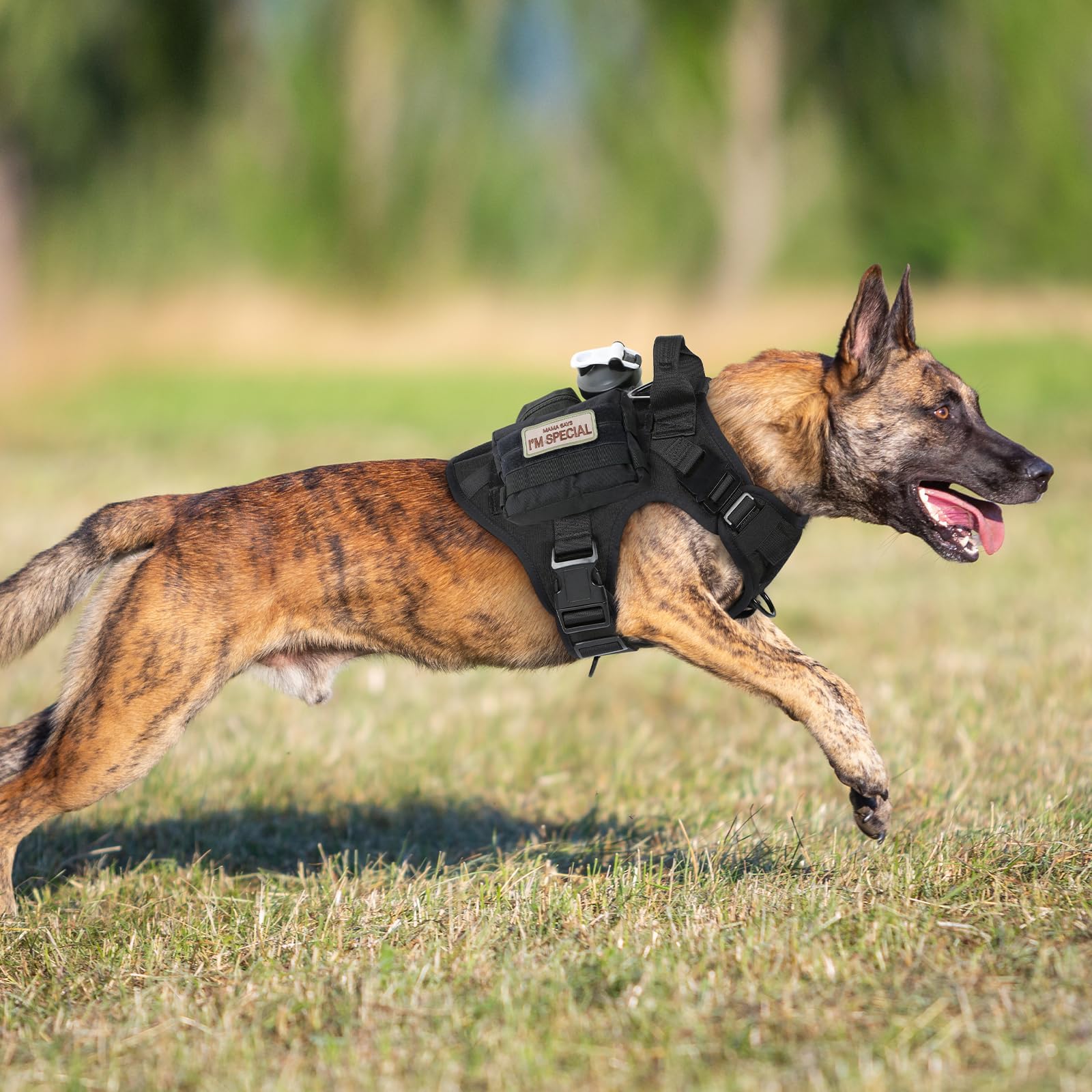 Rabbitgoo tactical dog harness adjustable straps for snug fit.