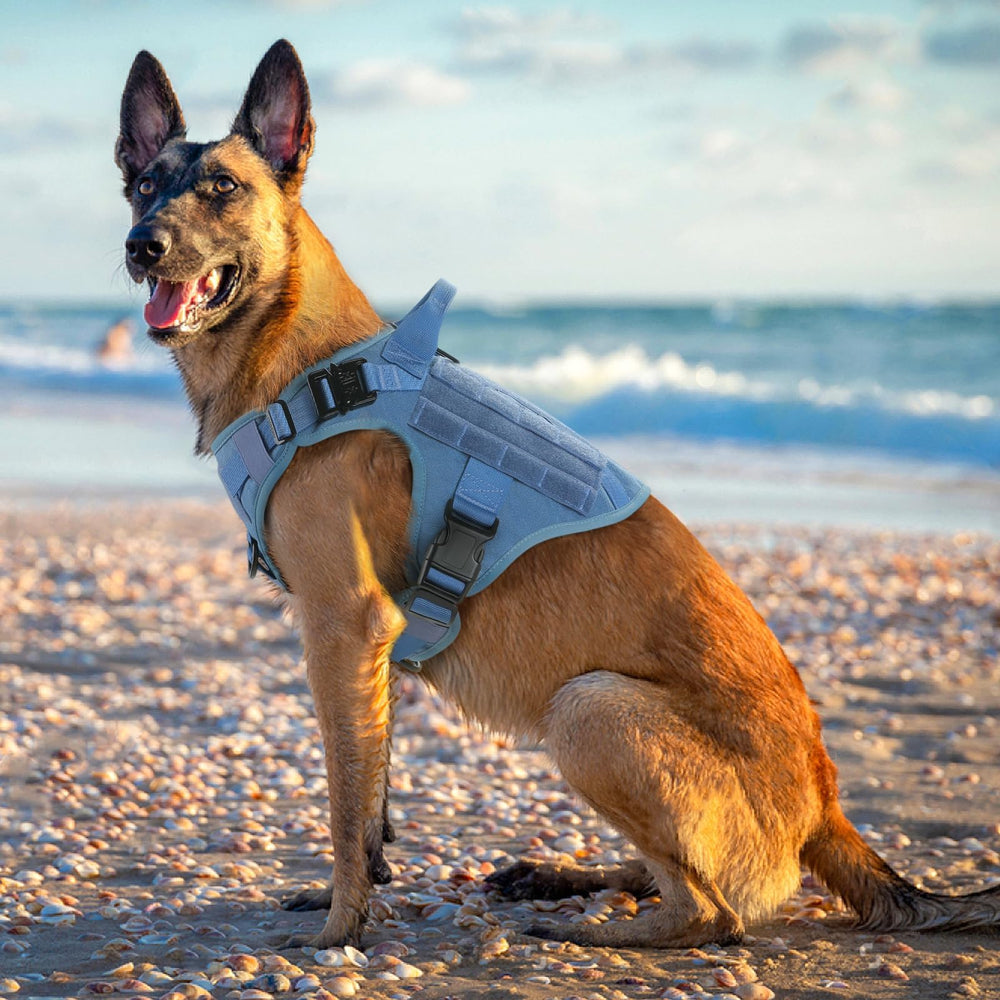 rabbitgoo tactical dog harness adjustable straps provide snug fit for various medium breeds