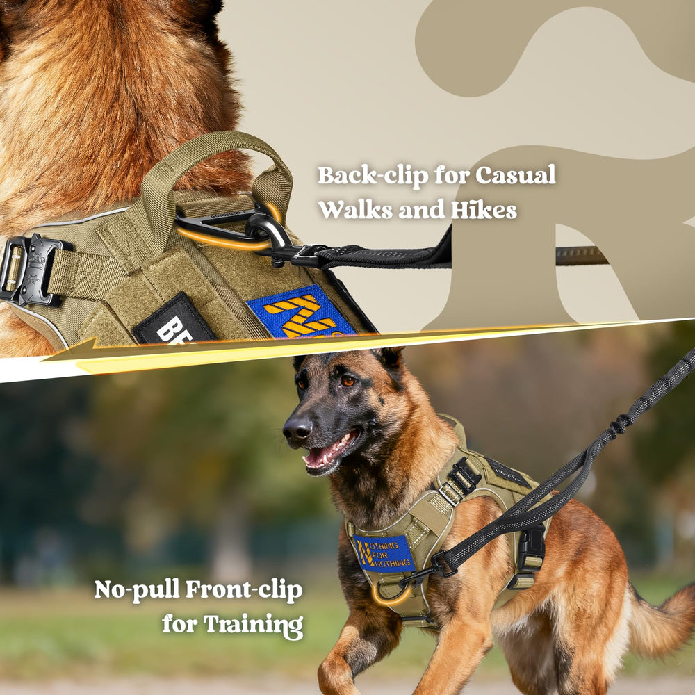 rabbitgoo Tactical Dog Harness back clip supports casual walking