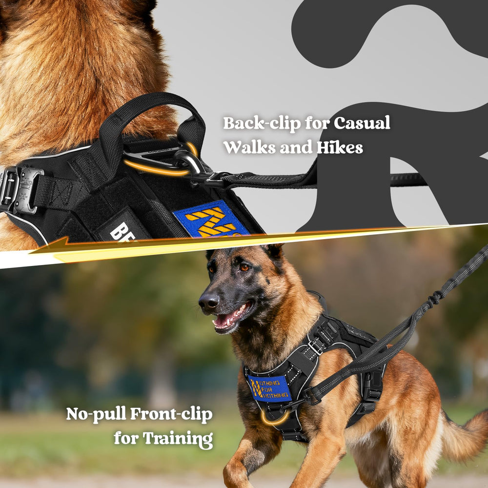 Rabbitgoo tactical dog harness back-clip for casual walking and steady control.