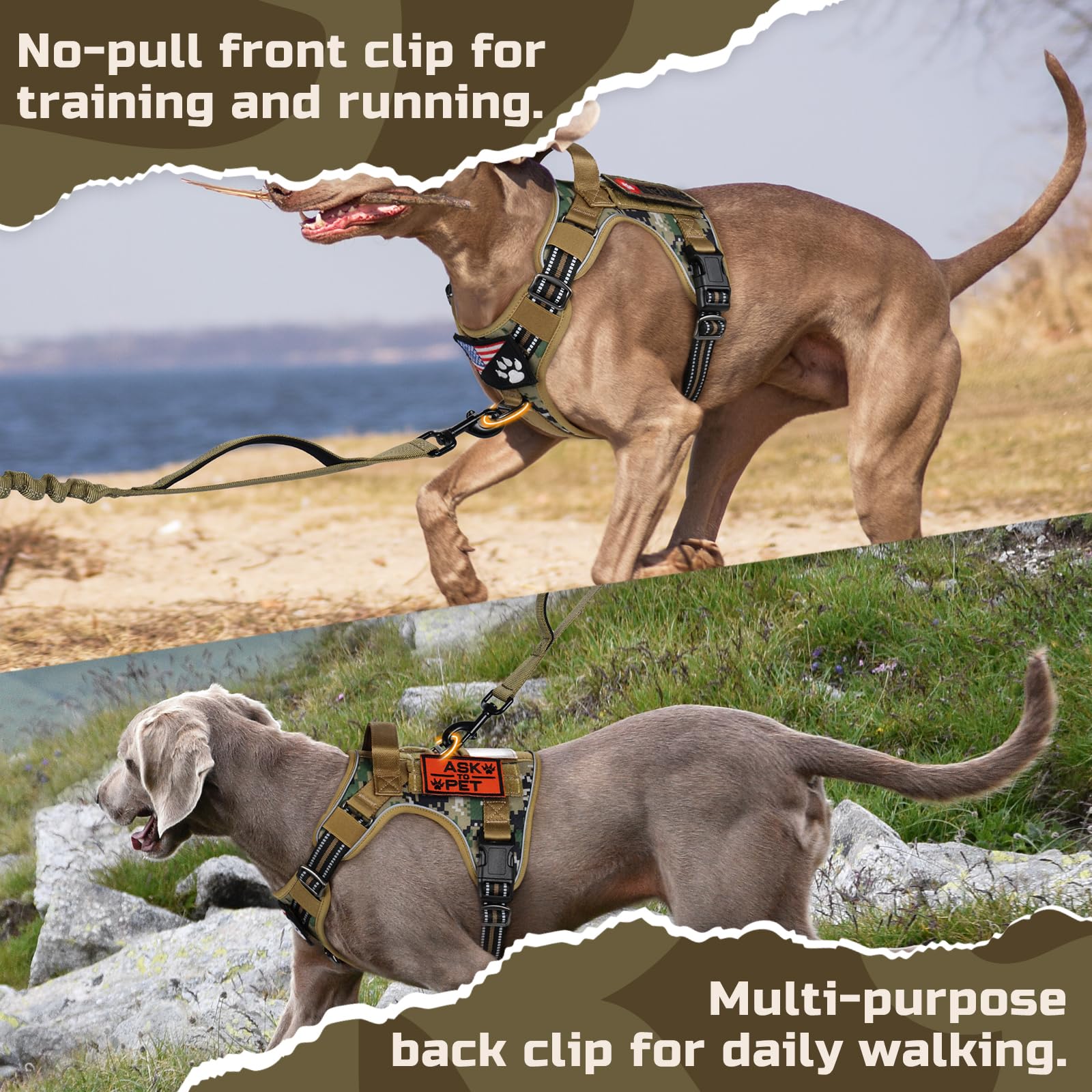 Rabbitgoo Tactical Dog Harness back-clip offers versatile, everyday walking support.
