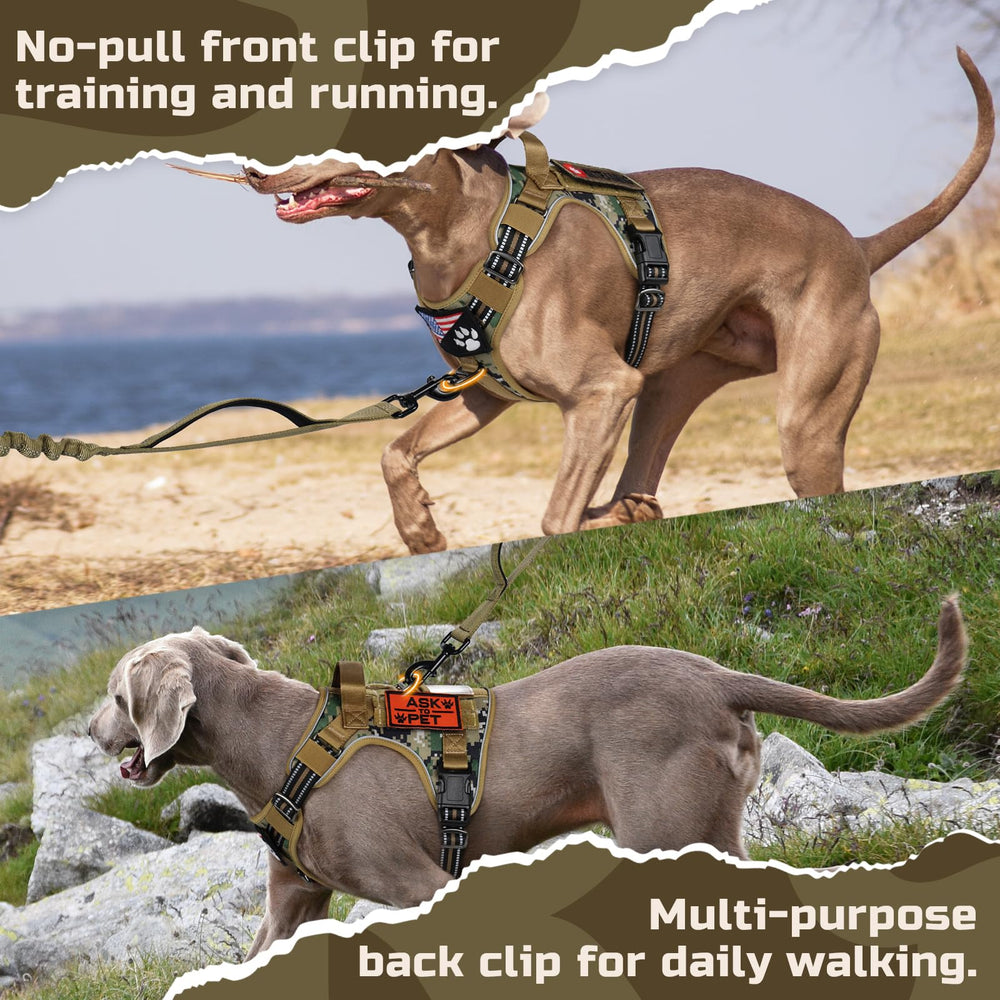 Rabbitgoo Tactical Dog Harness back-clip offers versatile, everyday walking support.