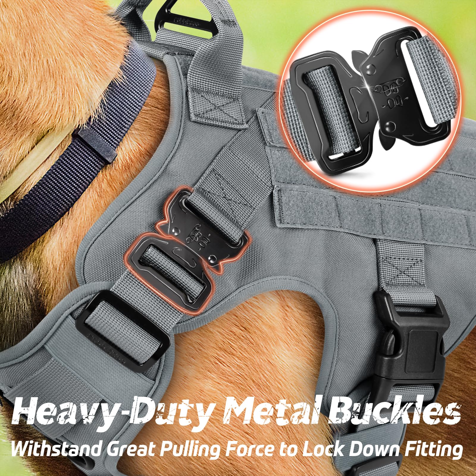 Rabbitgoo tactical dog harness back clip ideal for everyday walking