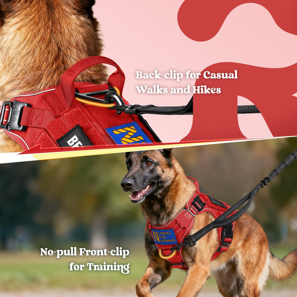 Rabbitgoo tactical dog harness back view for relaxed daily walks with control.