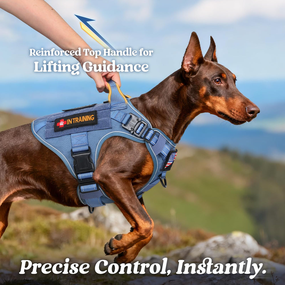 Rabbitgoo tactical dog harness back clip for casual walking control