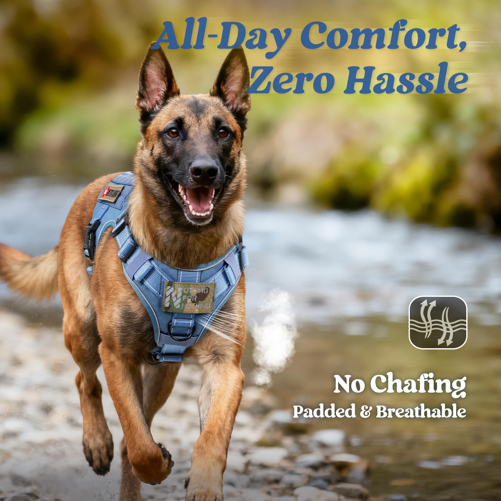 Rabbitgoo breathable air mesh keeps large dogs cool on hikes
