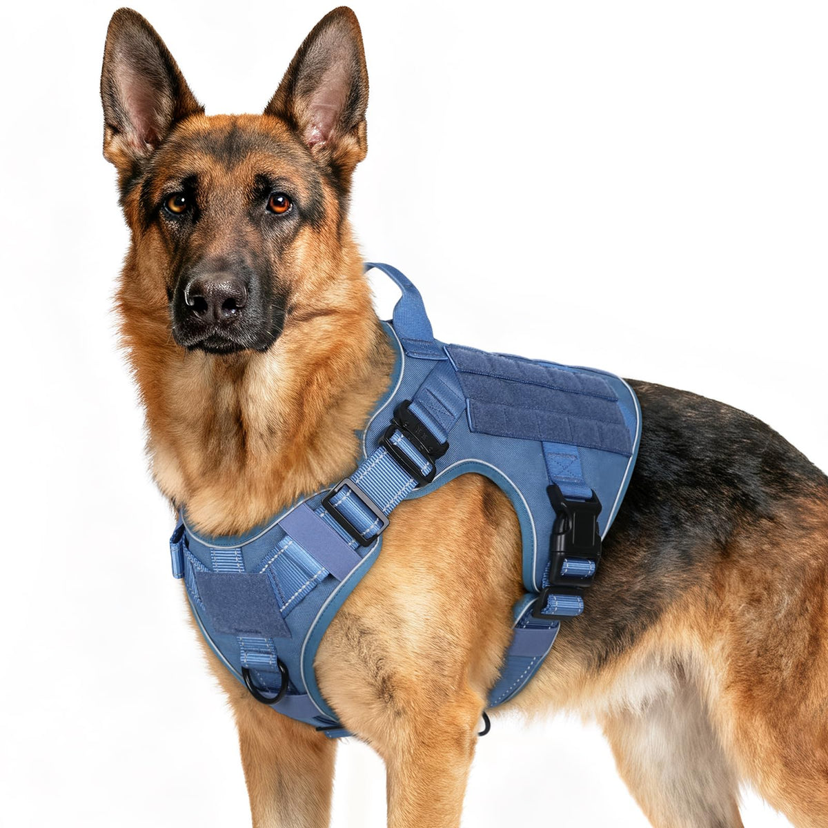 Rabbitgoo tactical dog harness front clip for no-pull training during walks