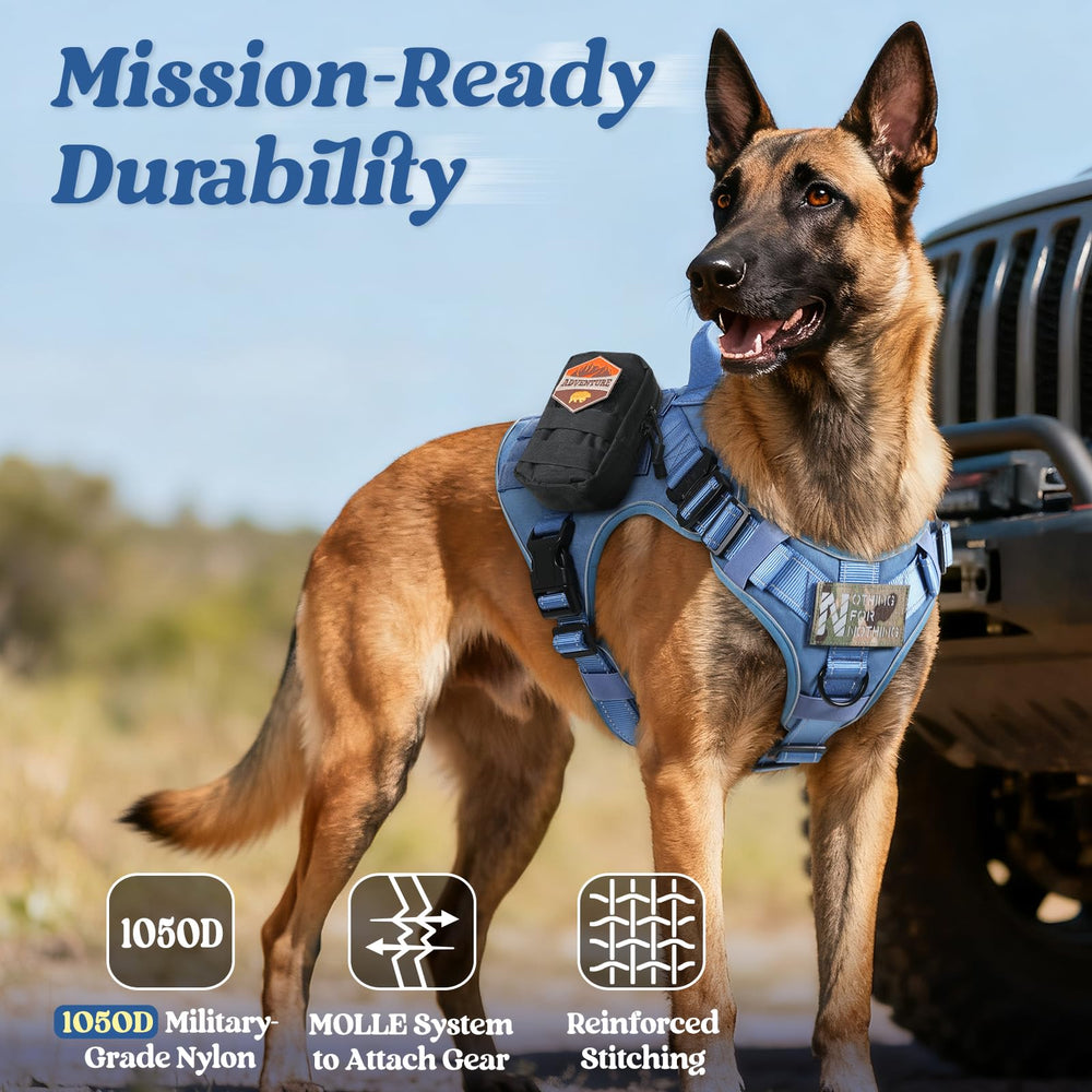 Rabbitgoo harness padding points reduce chafing and distribute pulling