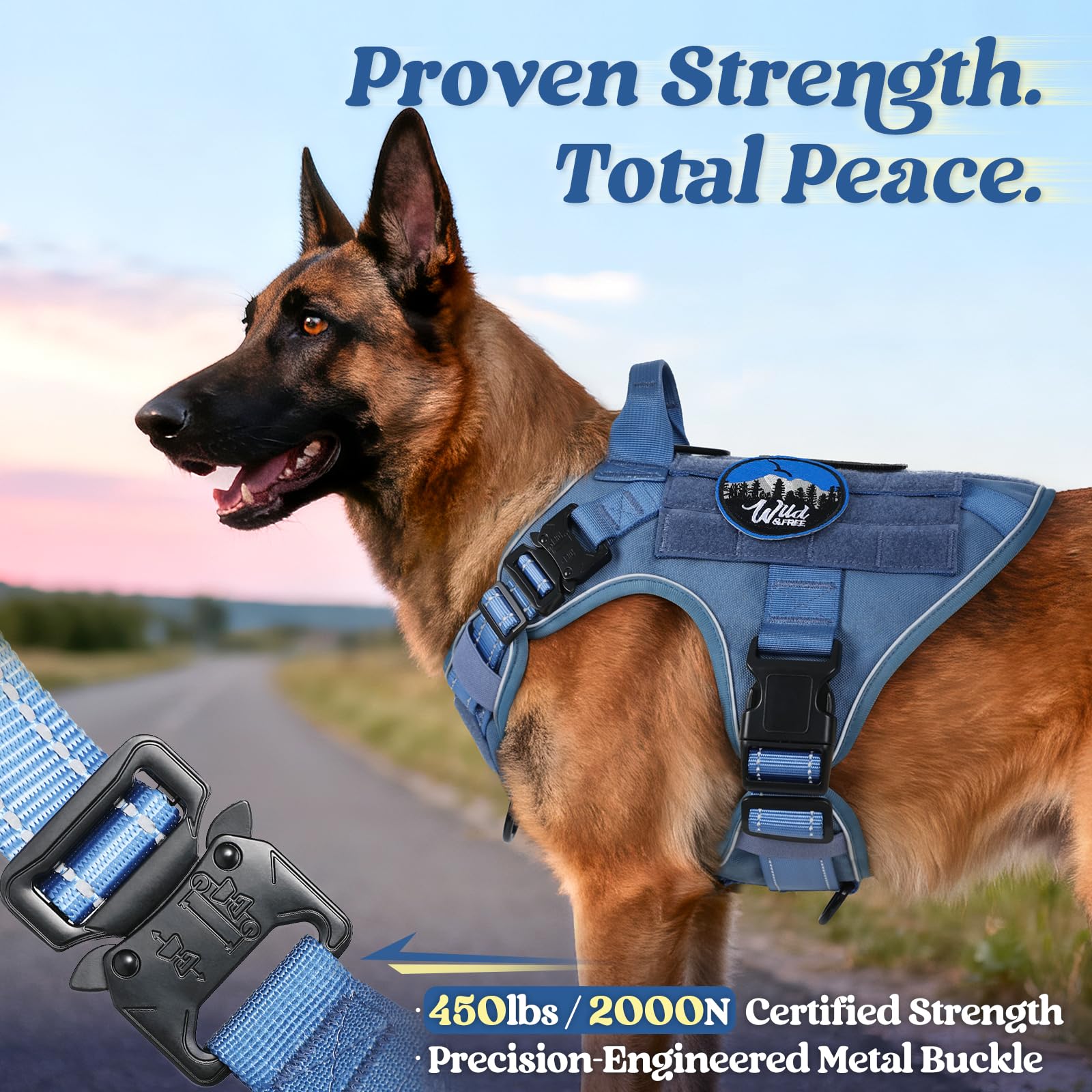 Rabbitgoo tactical dog harness top handle for quick assistance over obstacles