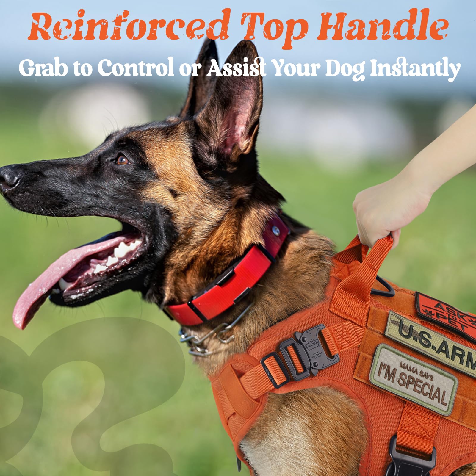 rabbitgoo tactical dog harness dual leash points orange small for safer walking.