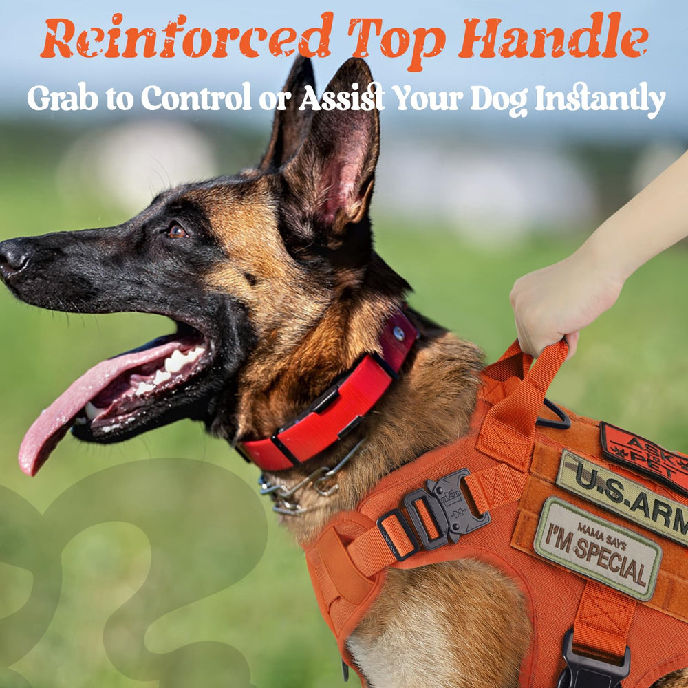 rabbitgoo tactical dog harness dual leash points orange small for safer walking.